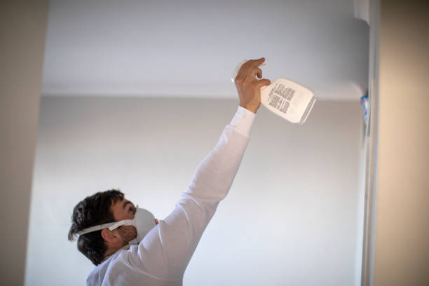 Best Mold Damage Repair  in Carthage, MO