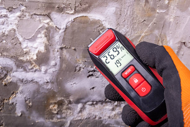 Best Mold Removal Process  in Carthage, MO