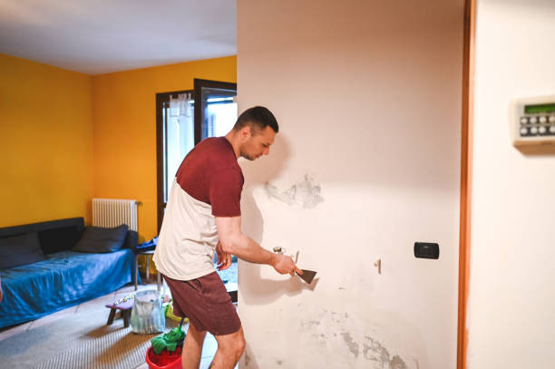 Best Office Mold Removal Services  in Carthage, MO